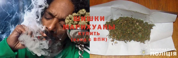 индика Белокуриха
