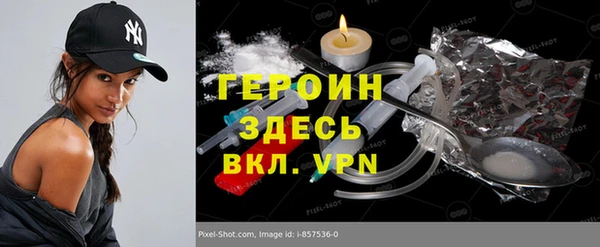 гашик Ельня