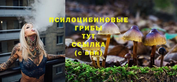 MDMA Беломорск