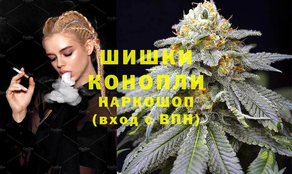 индика Белокуриха