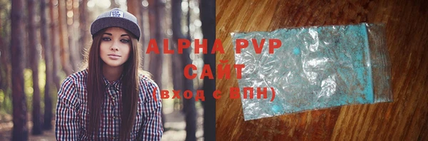 индика Белокуриха